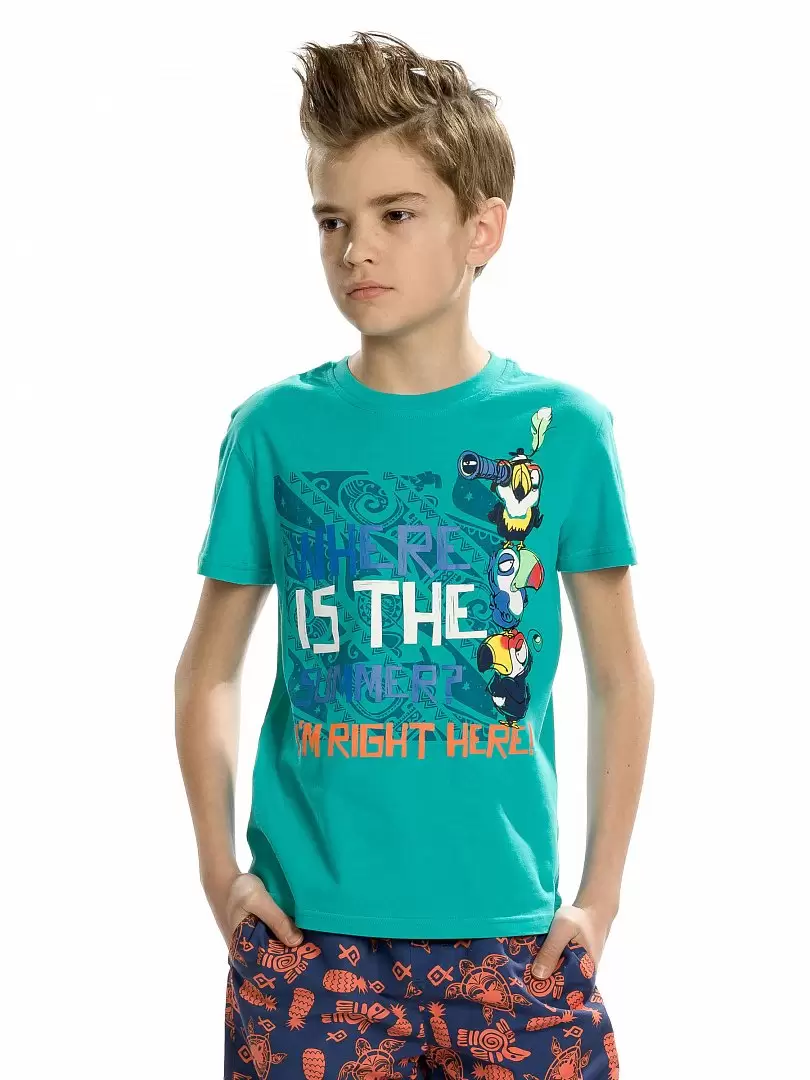 Pelican BFT4124/1, футболка для мальчиков (изображение 1)