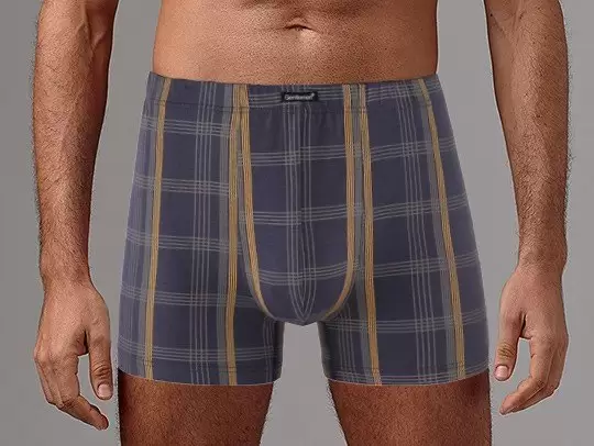 Gentlemen GS7851, трусы мужские шорты (изображение 1)