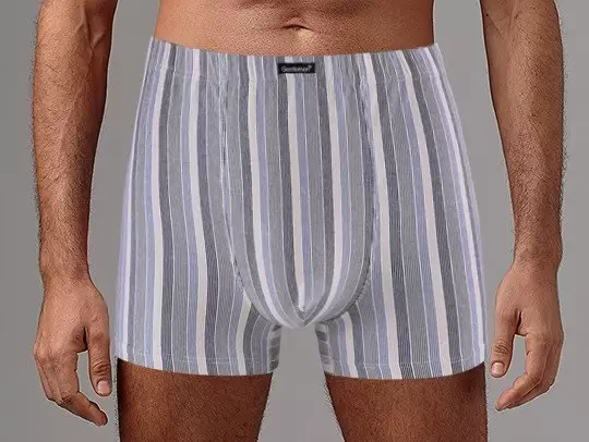 Gentlemen GS7853, трусы мужские шорты (изображение 1)